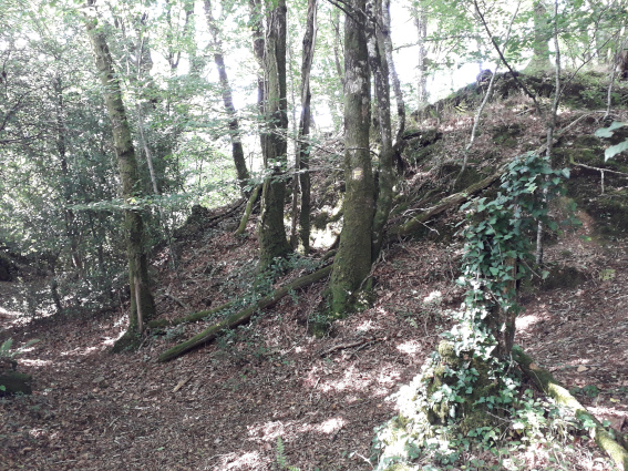 motte tallen1.jpg