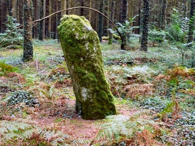 Menhir bihan.jpg