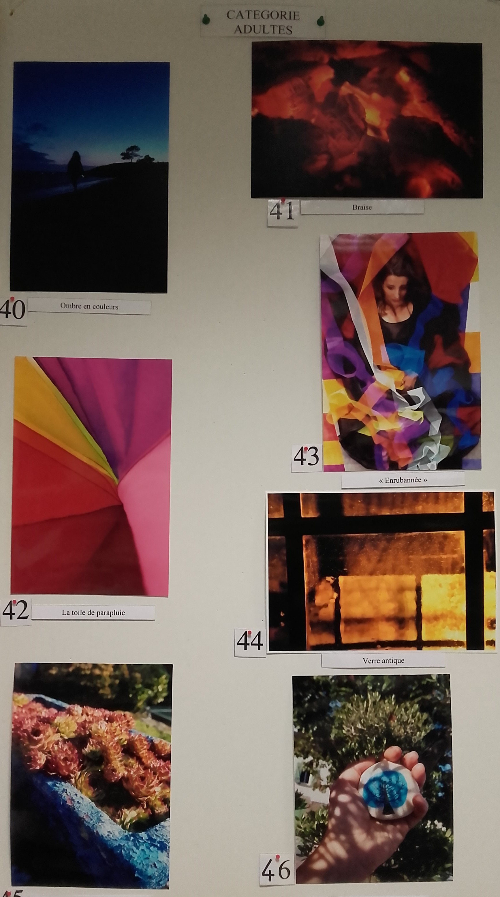 Concours photos adultes 6.jpg