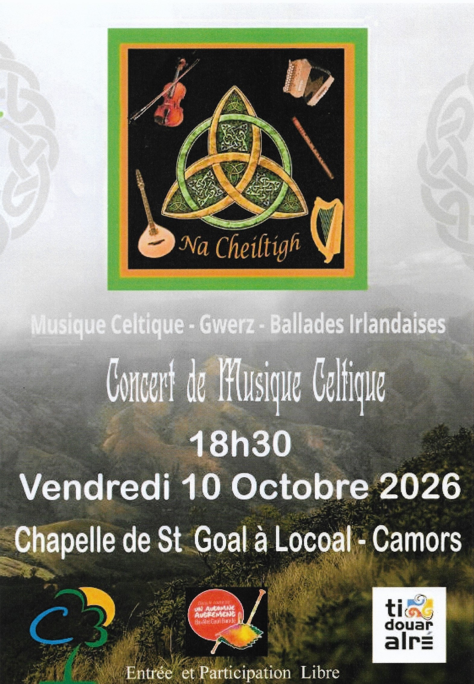 Affiche Na Cheiltigh.jpg