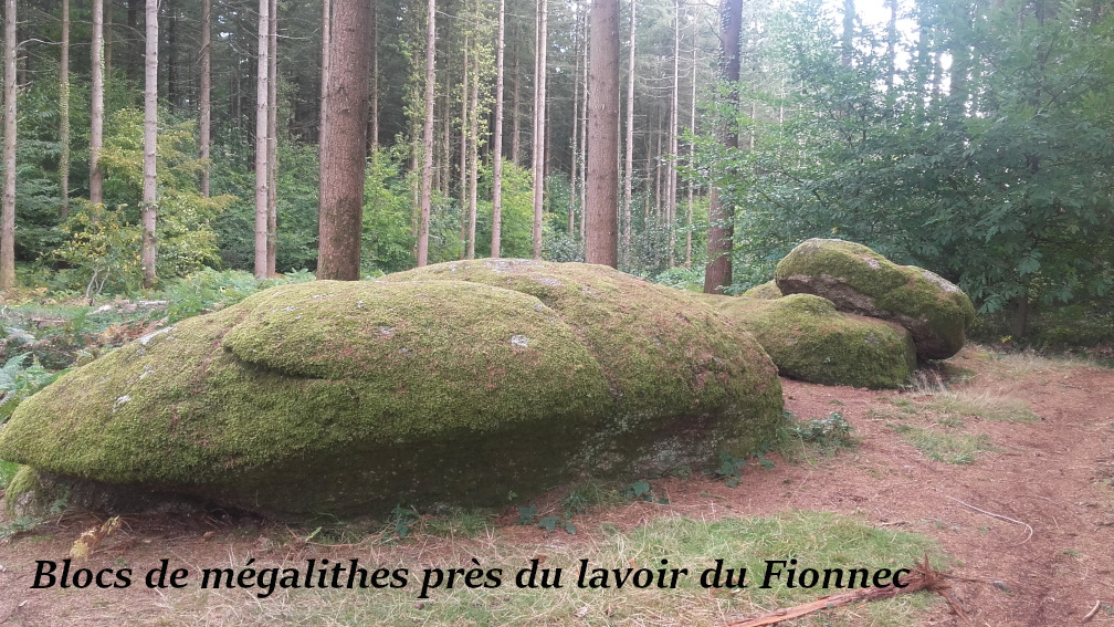 Blocs de mégalithes près du lavoir du Fionnec2.jpg