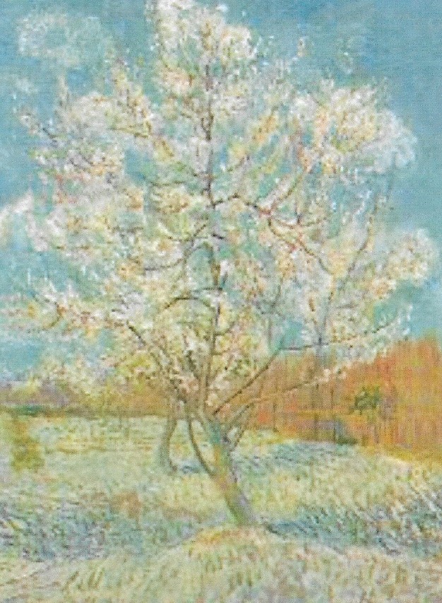 Concert du 28 mai 2022 - Copie.jpg