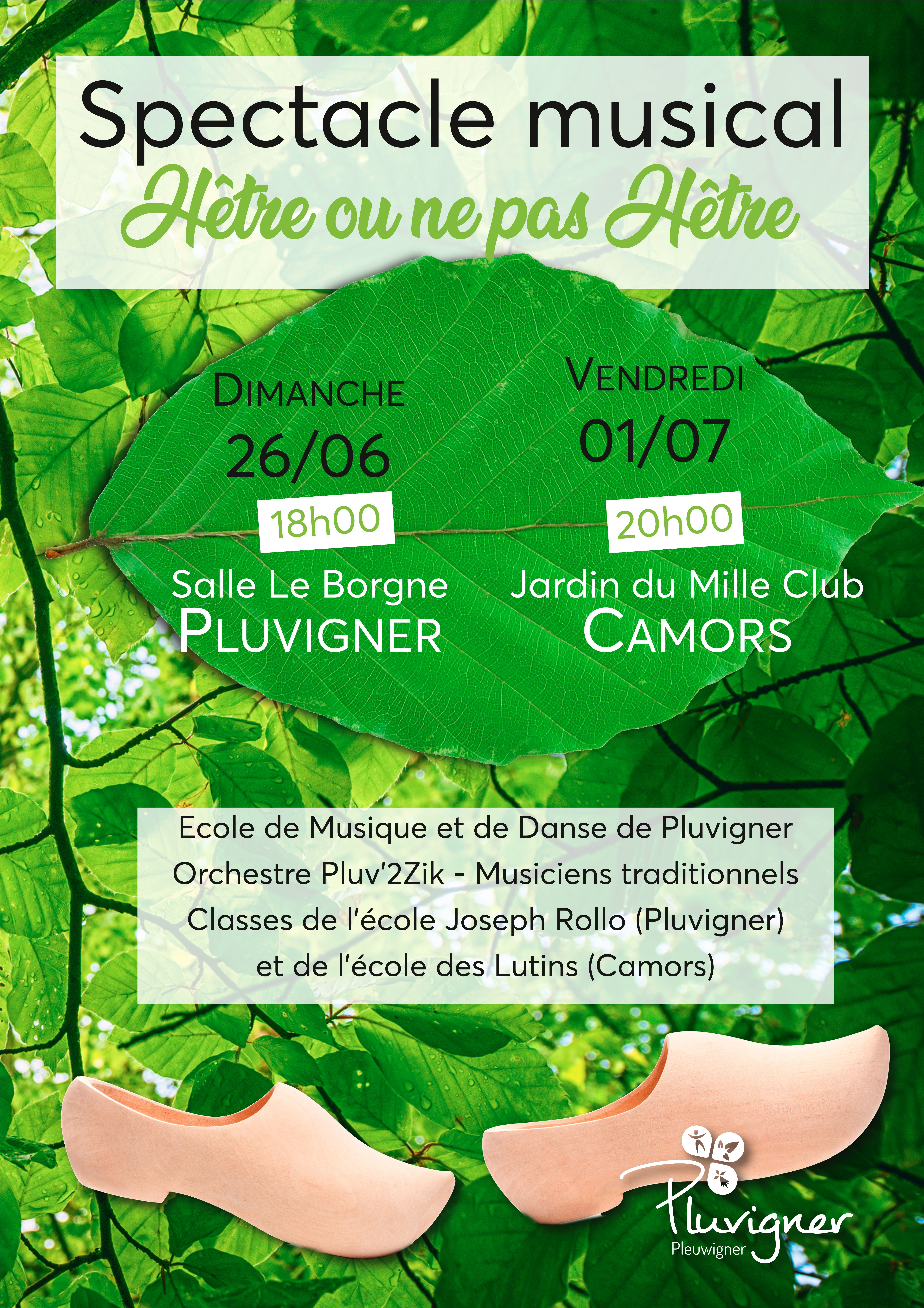 Hêtre ou ne pas hêtre.jpg