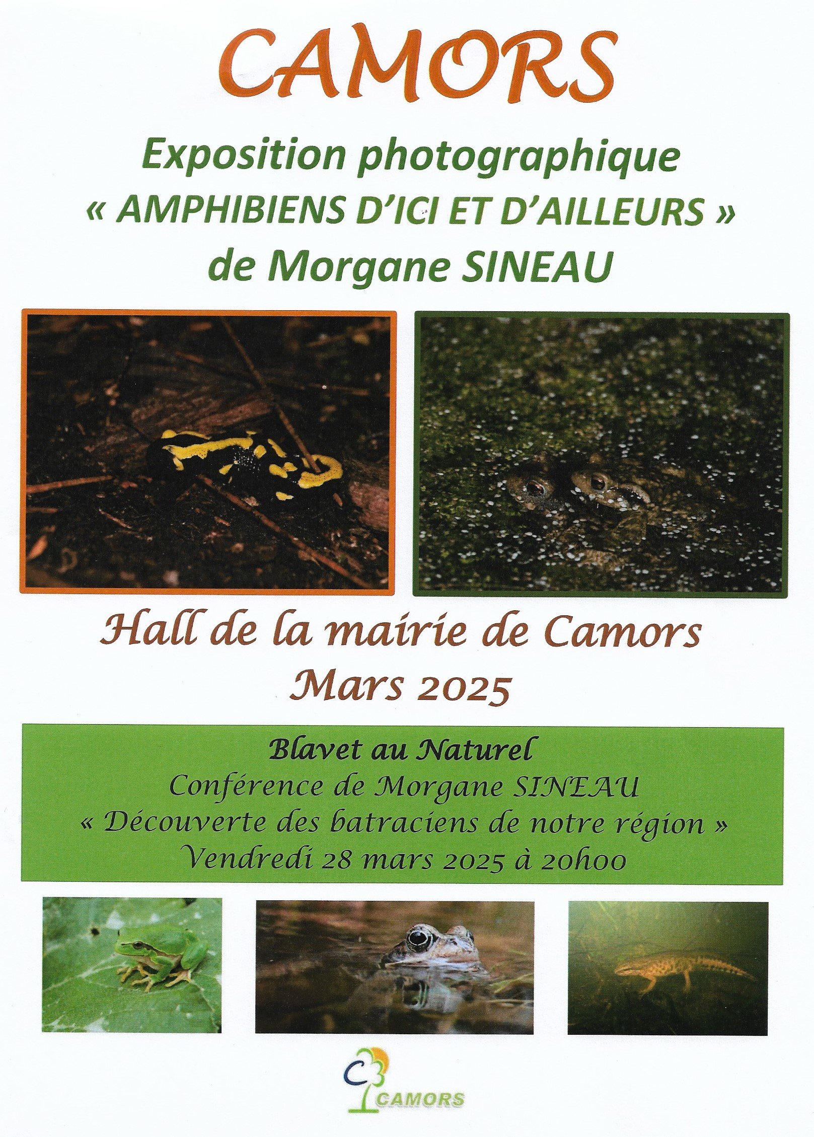 Expo Morgane Sineau.jpg