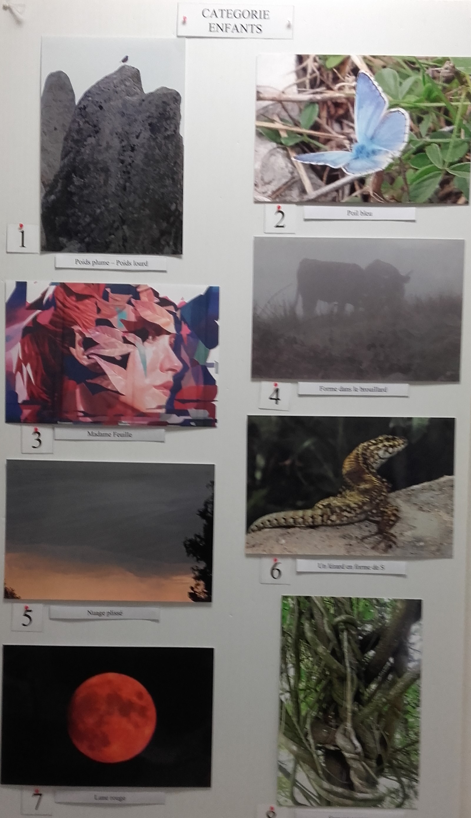 Concours photos enfants.jpg