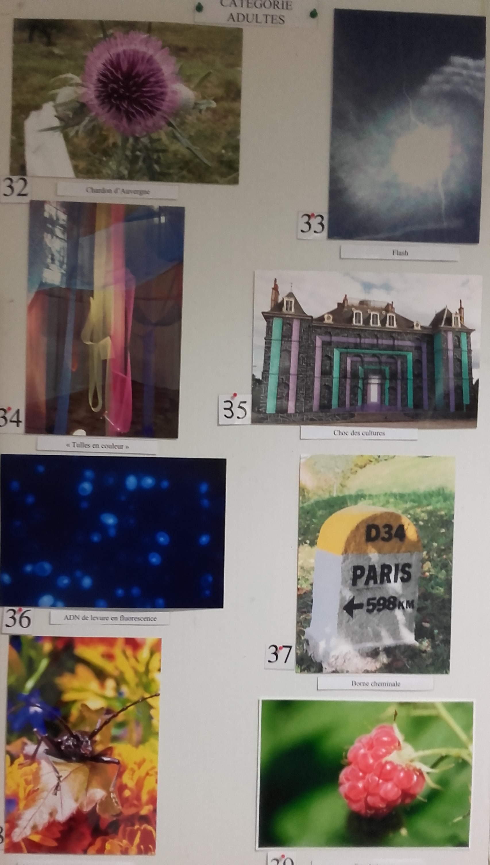 Concours photos adultes 5.jpg