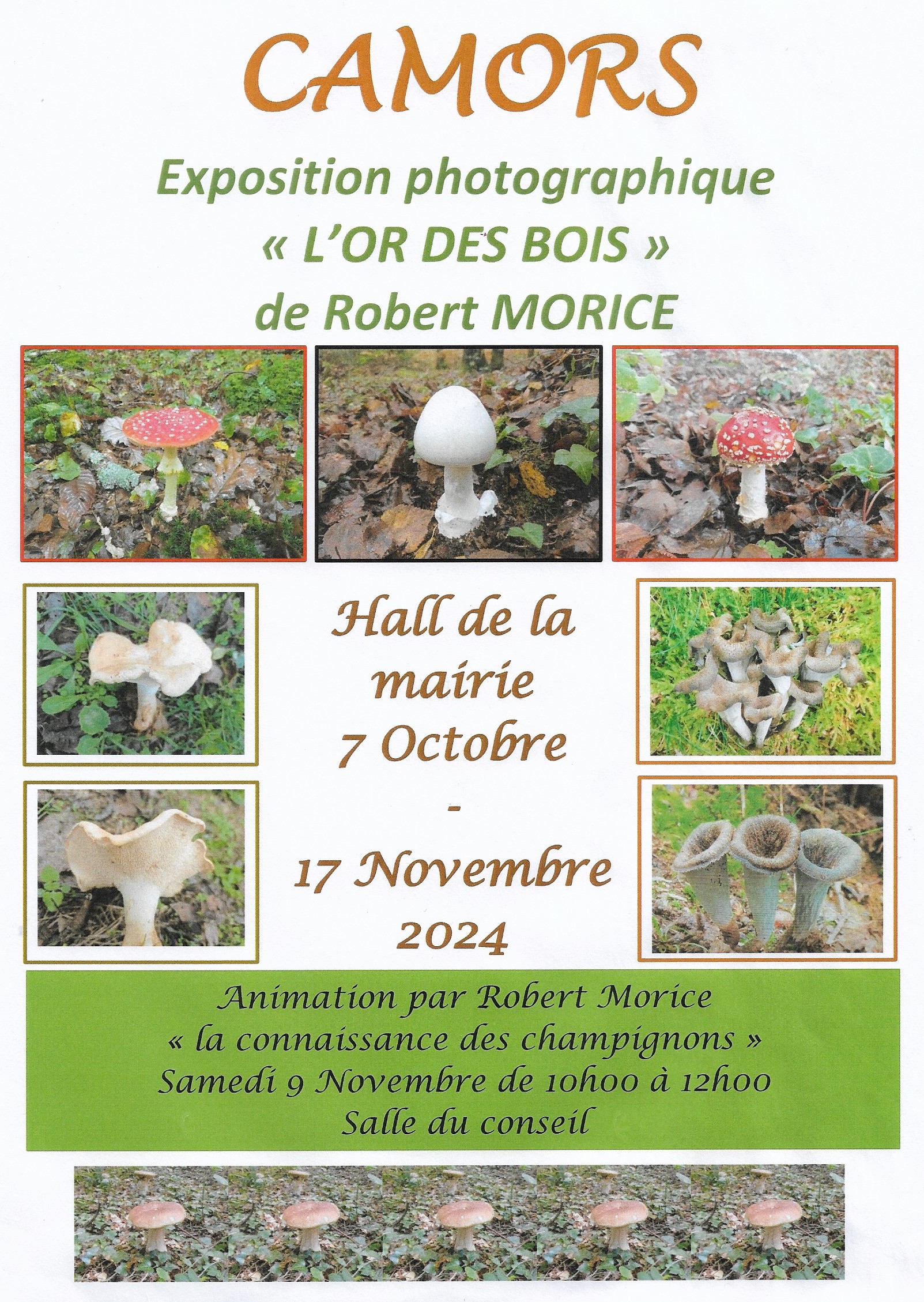 Exposition photographique sur les champignons.jpg