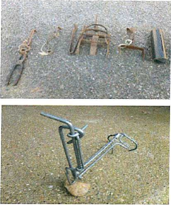 outils de piégeage.jpg