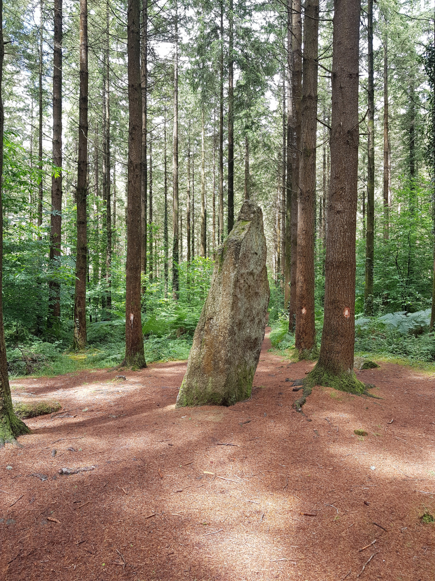 Menhir Vras1.jpg