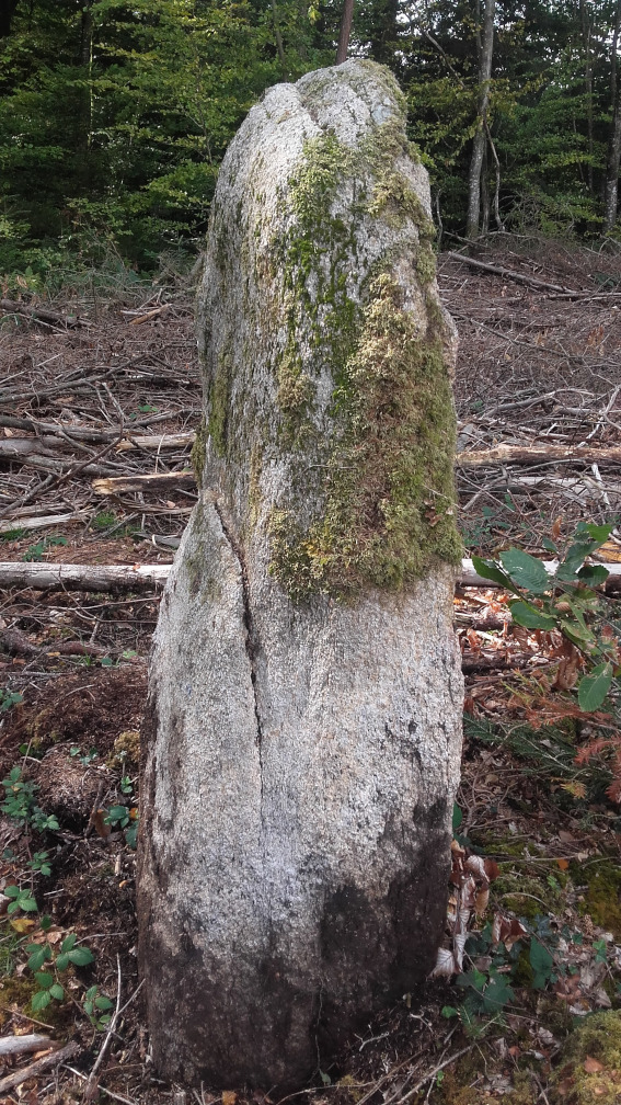 Menhir de Lambel1.jpg