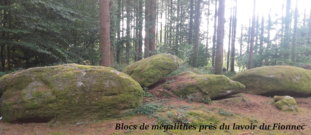 Blocs de mégalithes près du lavoir du Fionnec1.jpg