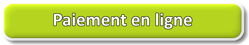 Paiement en ligne.png