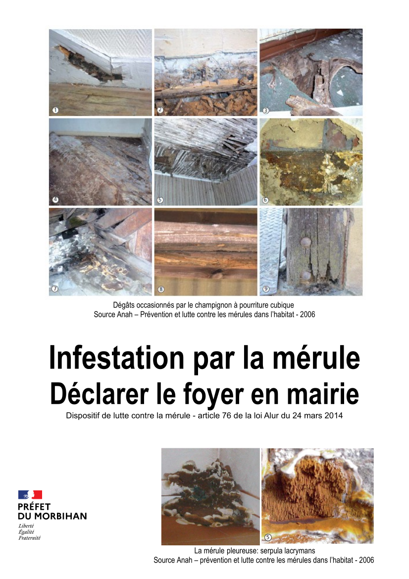 affiche_merule_PJ_let_maires.png