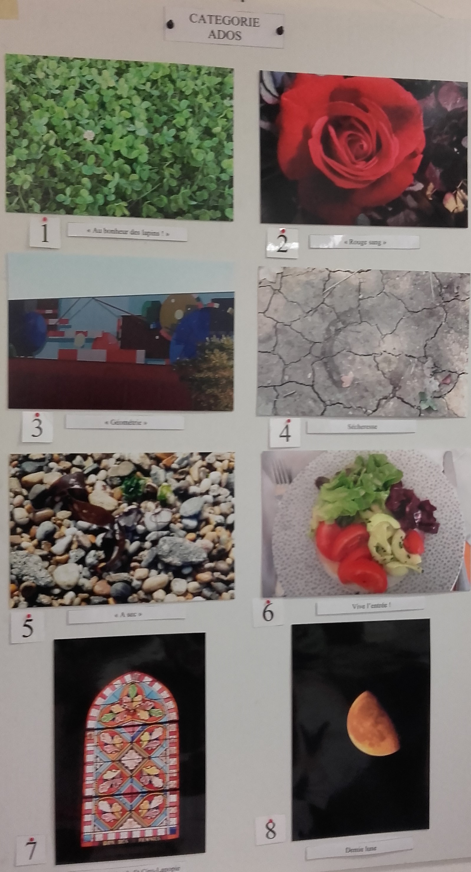 Concours photos ados.jpg