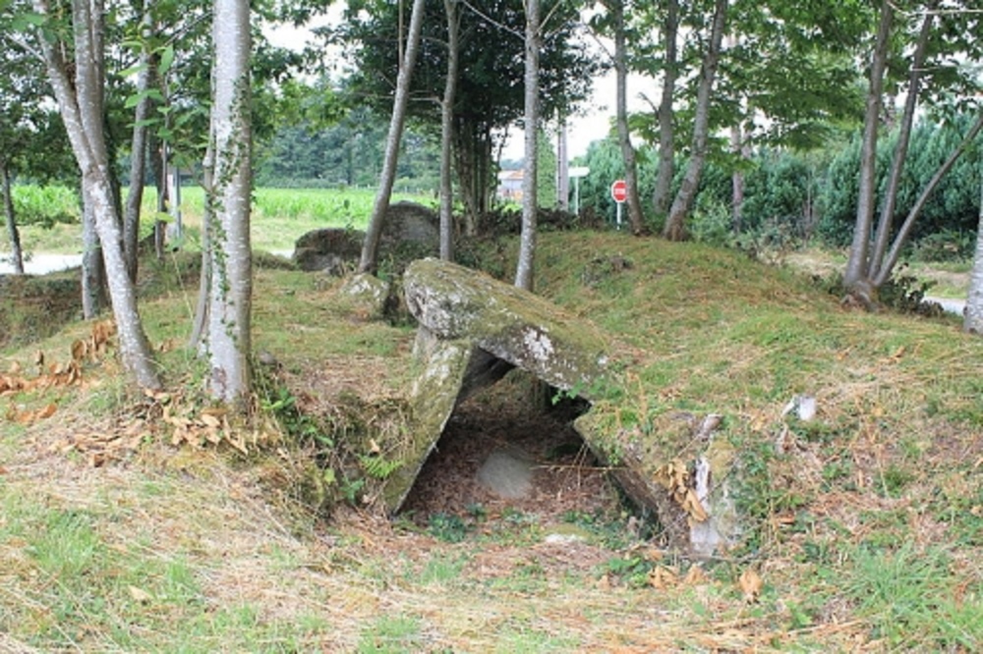 L_allée couverte de Lann er Vein.jpg