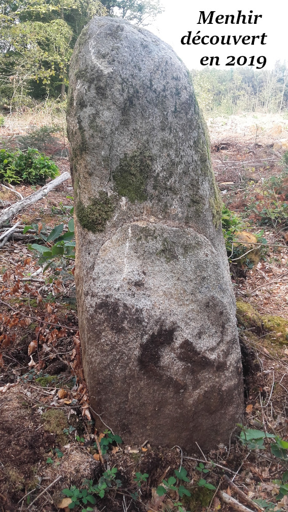 Menhir de Lambel2.jpg