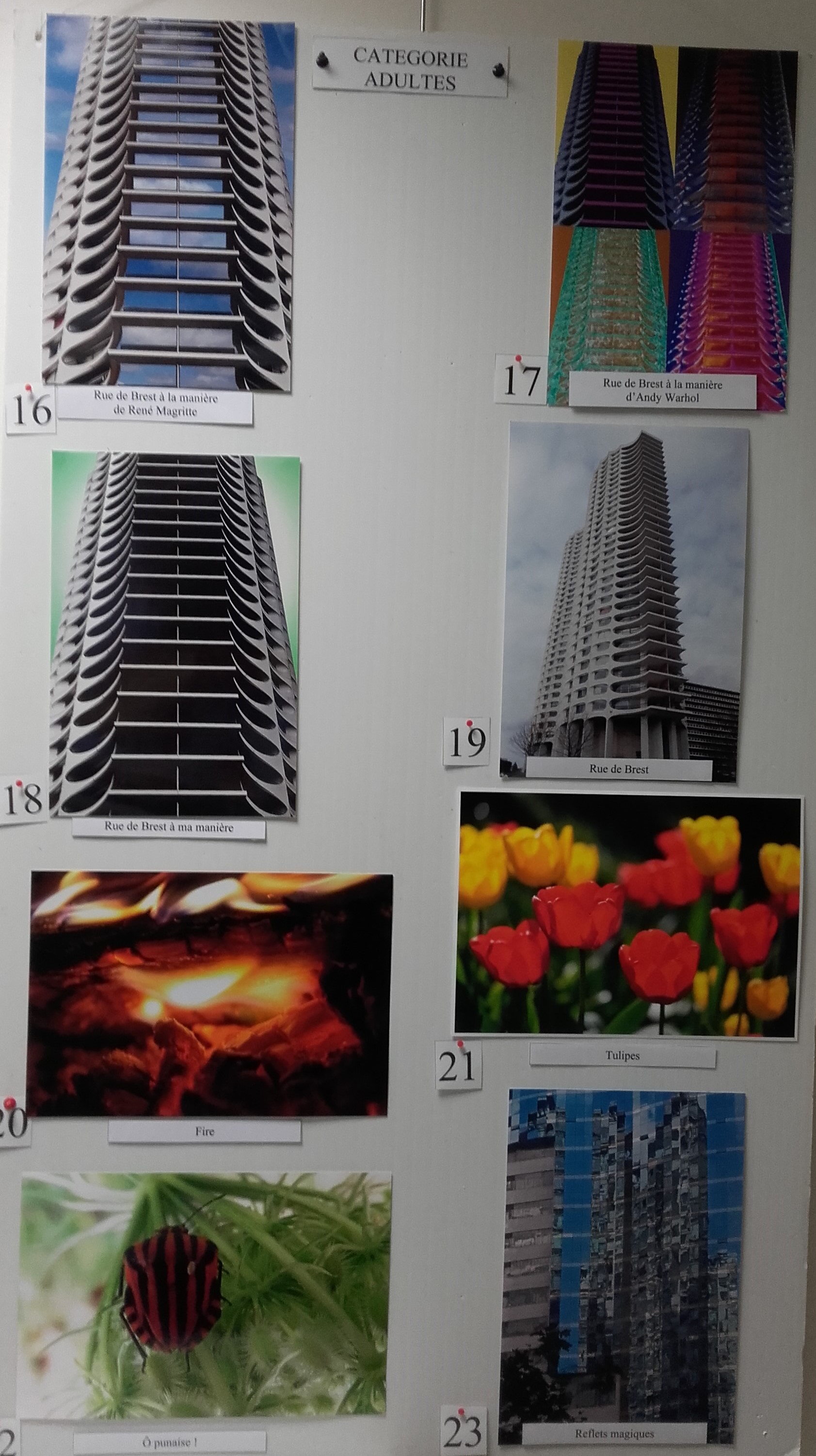 Concours photos adultes 3.jpg