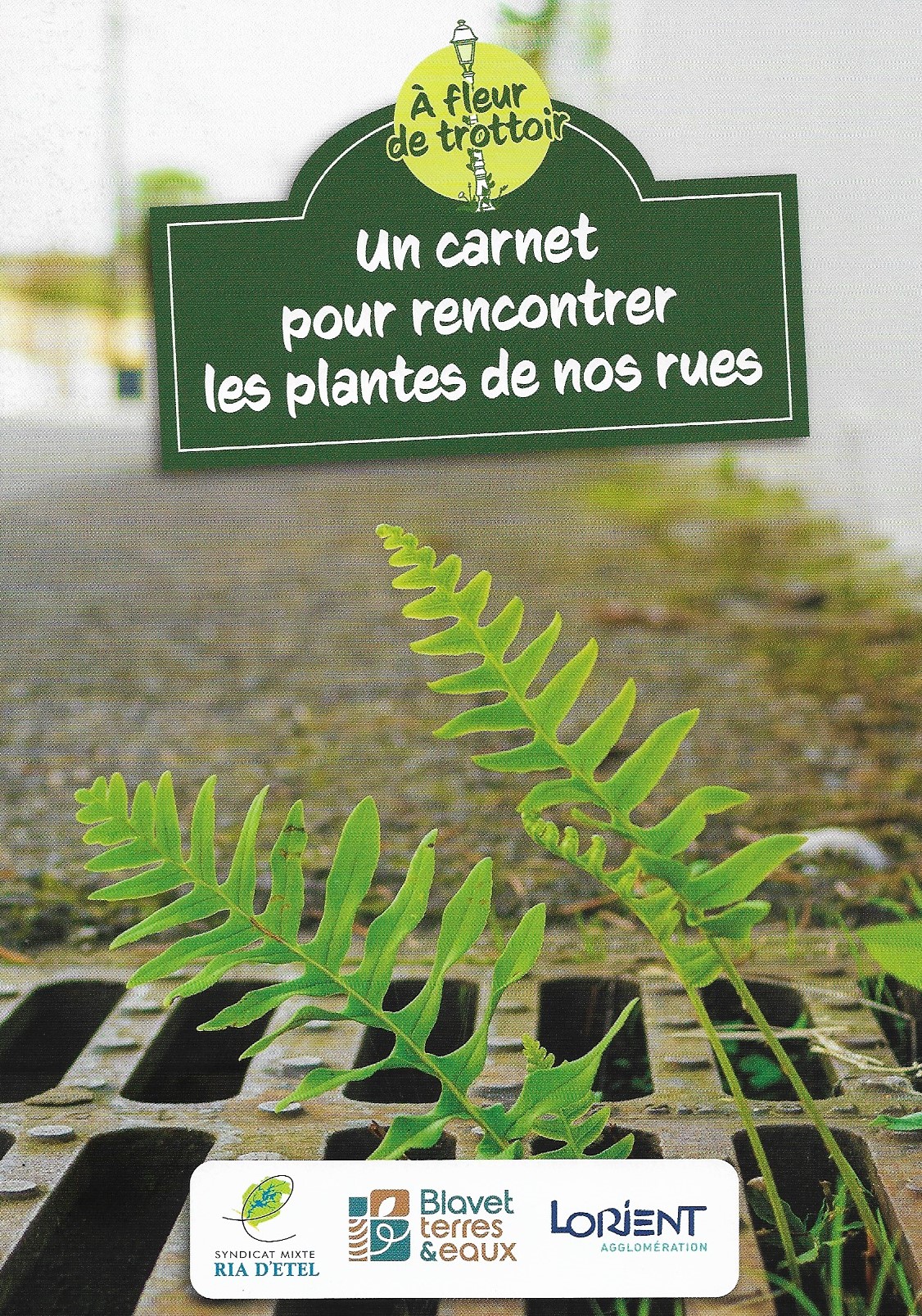 Expo A fleur de trottoir.jpg