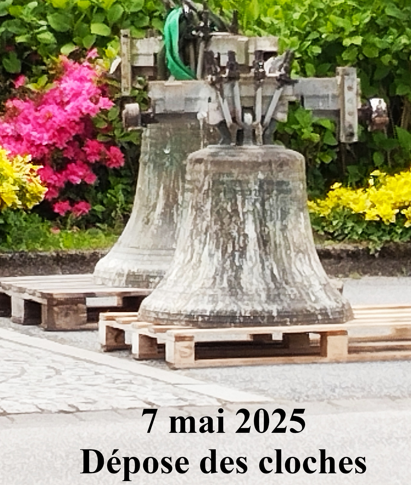 photo3.png