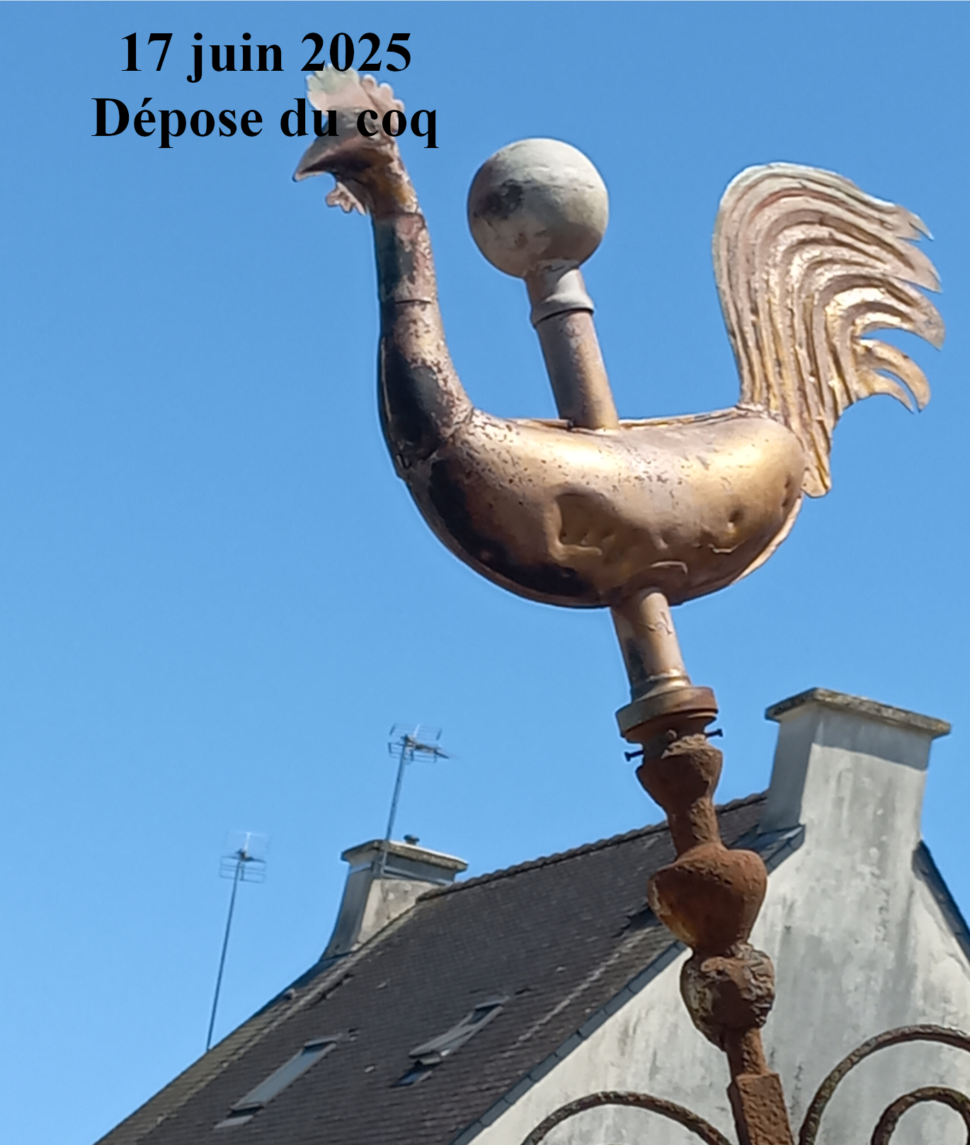 photo7.png