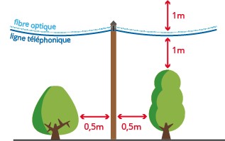 Bien vivre ensemble - elagage.jpg