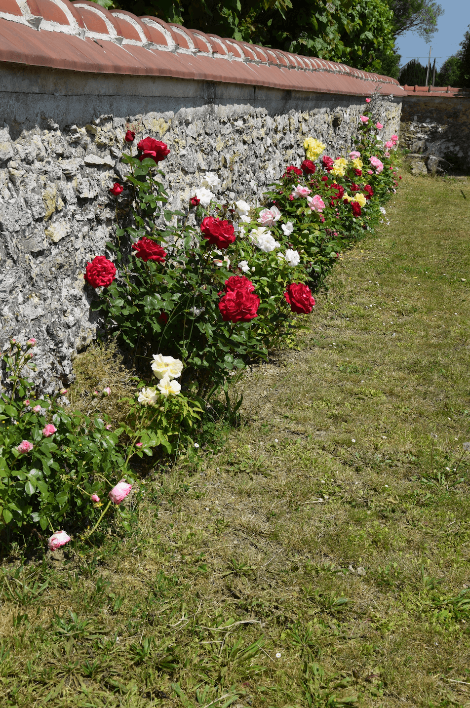 Cimetière - 3.png