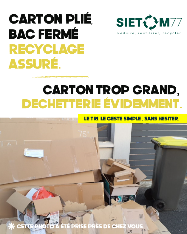 Carton plein RS.png