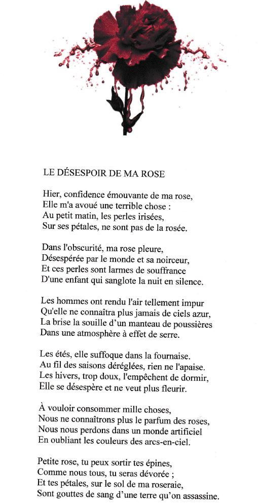 LE DESPOIR DE MA ROSE.JPG