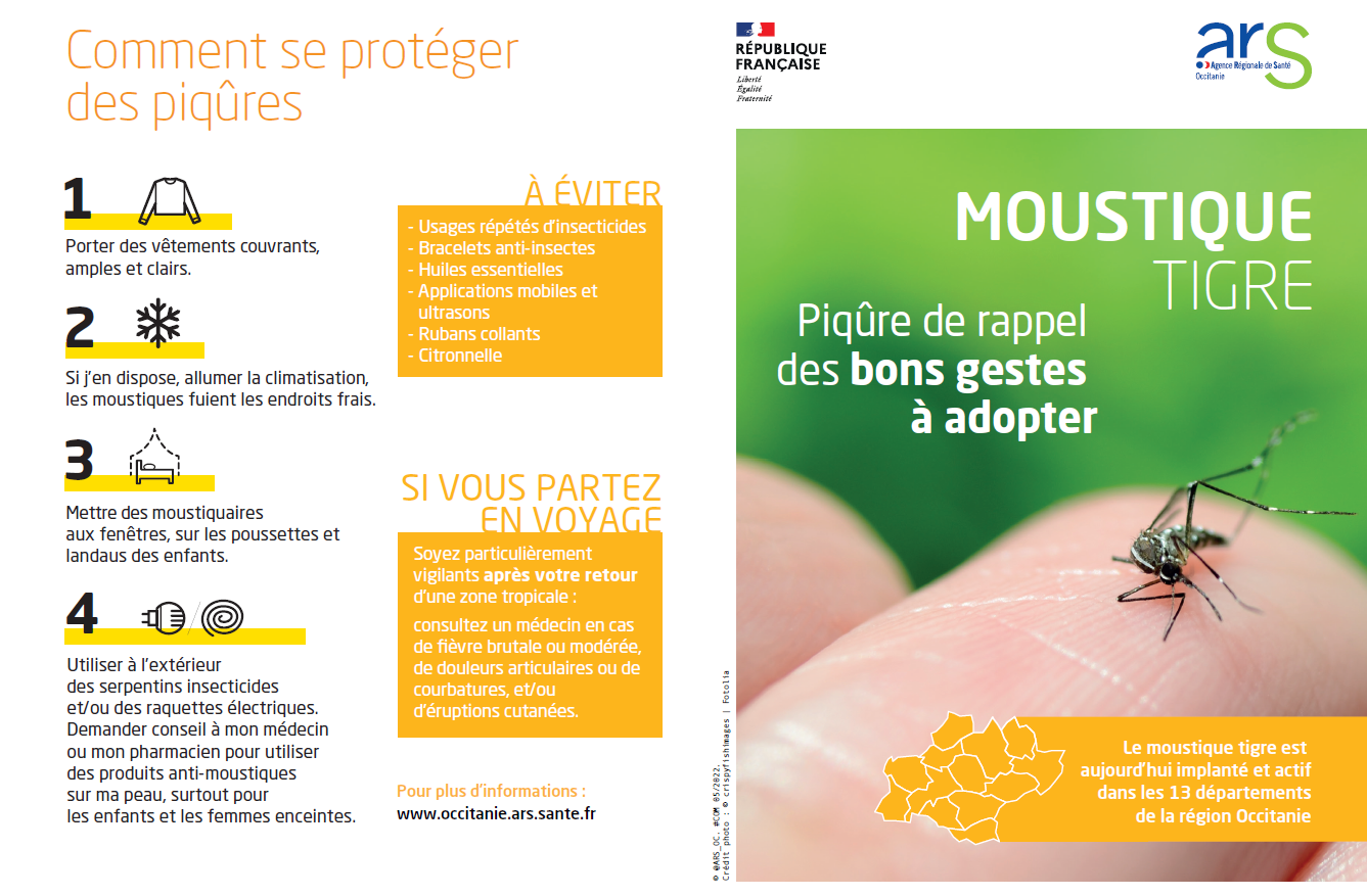 moustique 1.png
