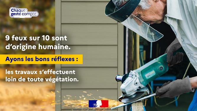 Photos adoptons les bons réflexes 6.jpg