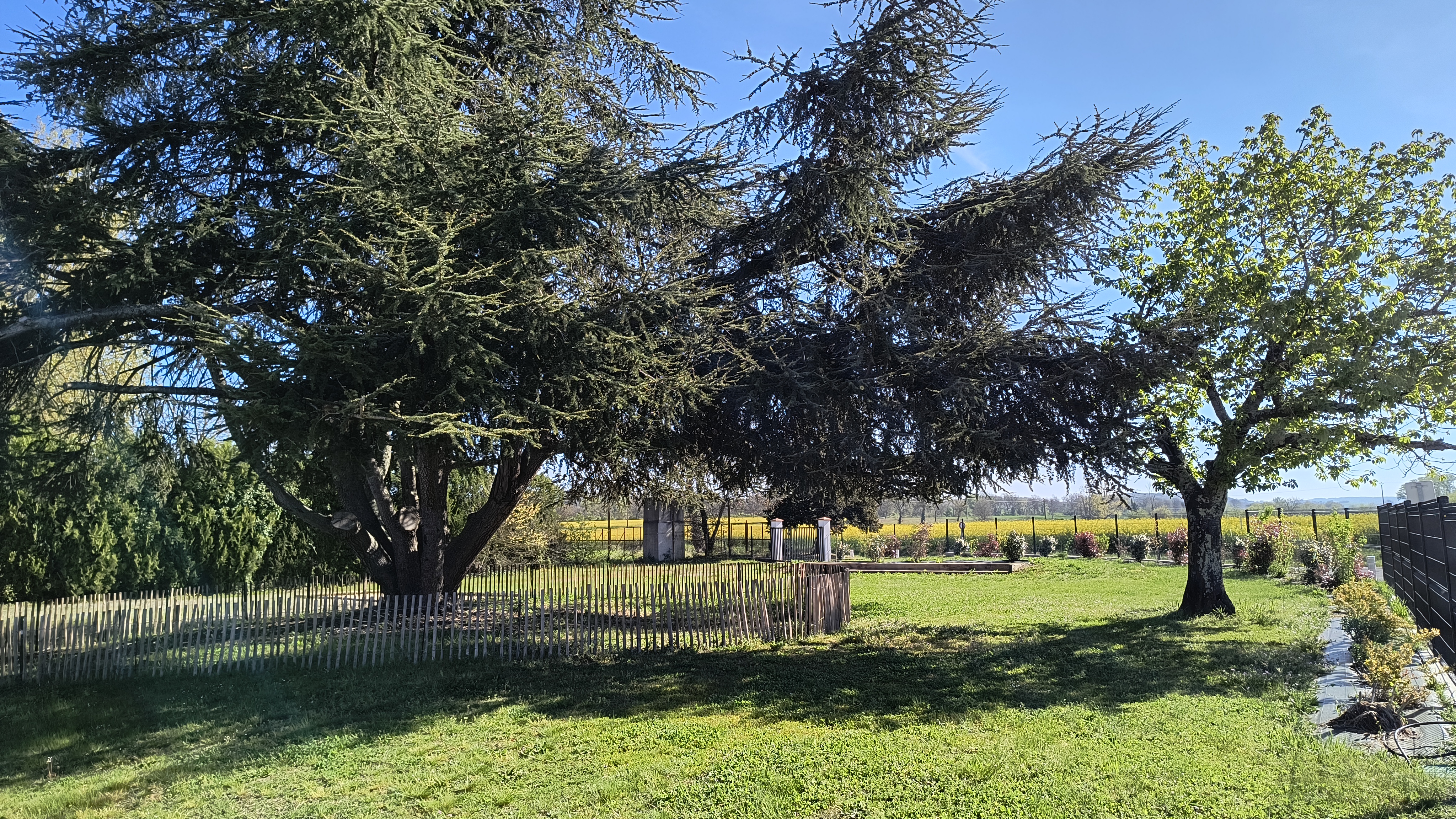 SDF espace vert 2026 04.jpg