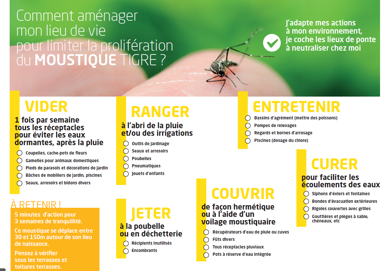 moustiques 2.png