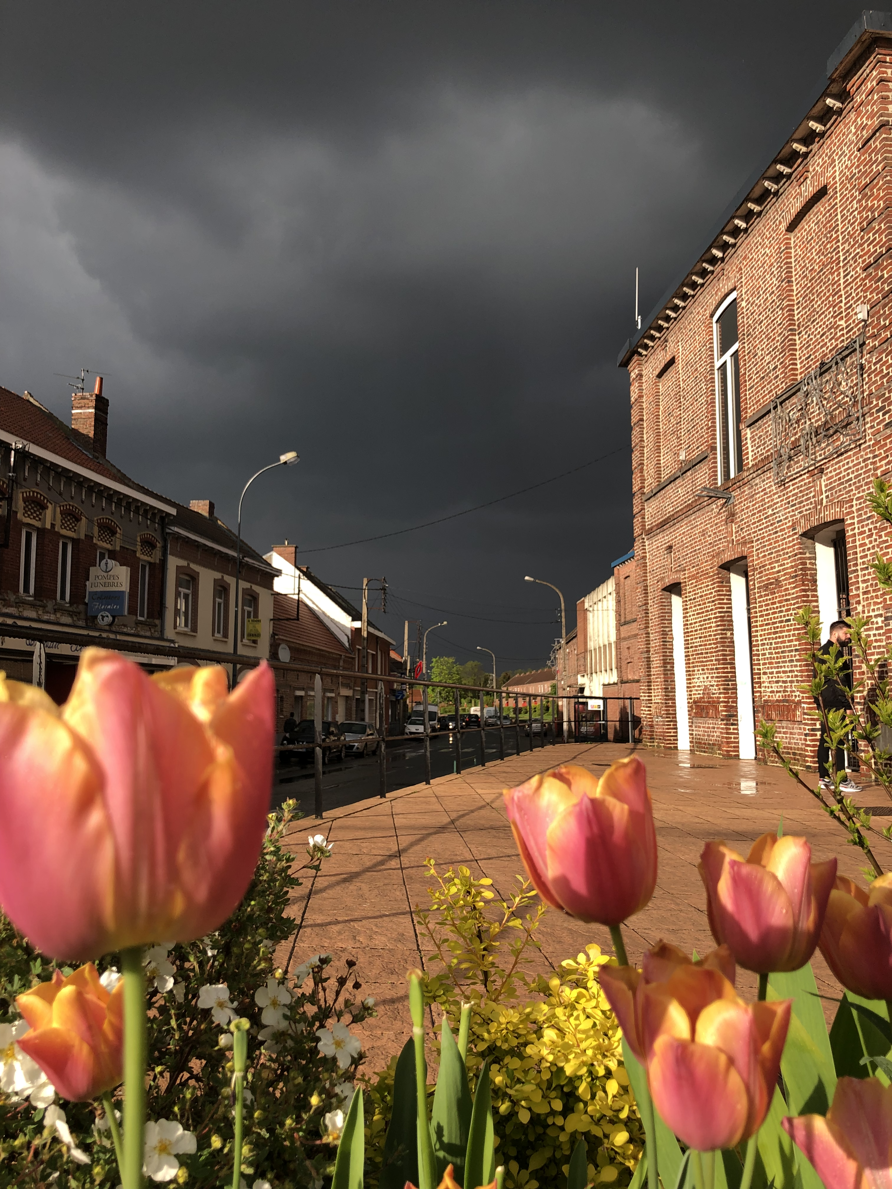 La route d_Arras.png