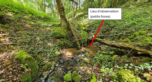 le ruisseau d_angle.jpg