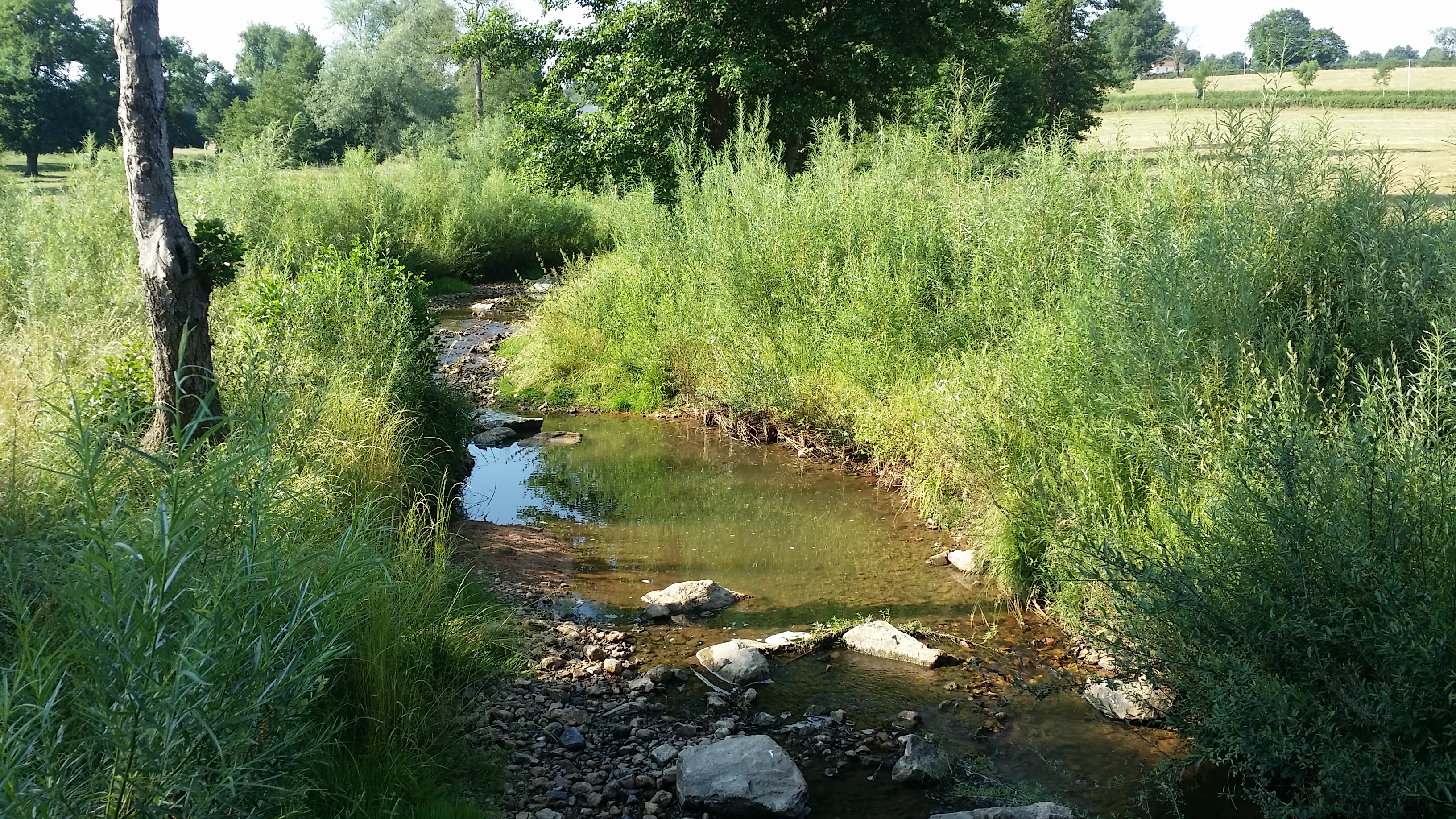 20170620_092706.jpg