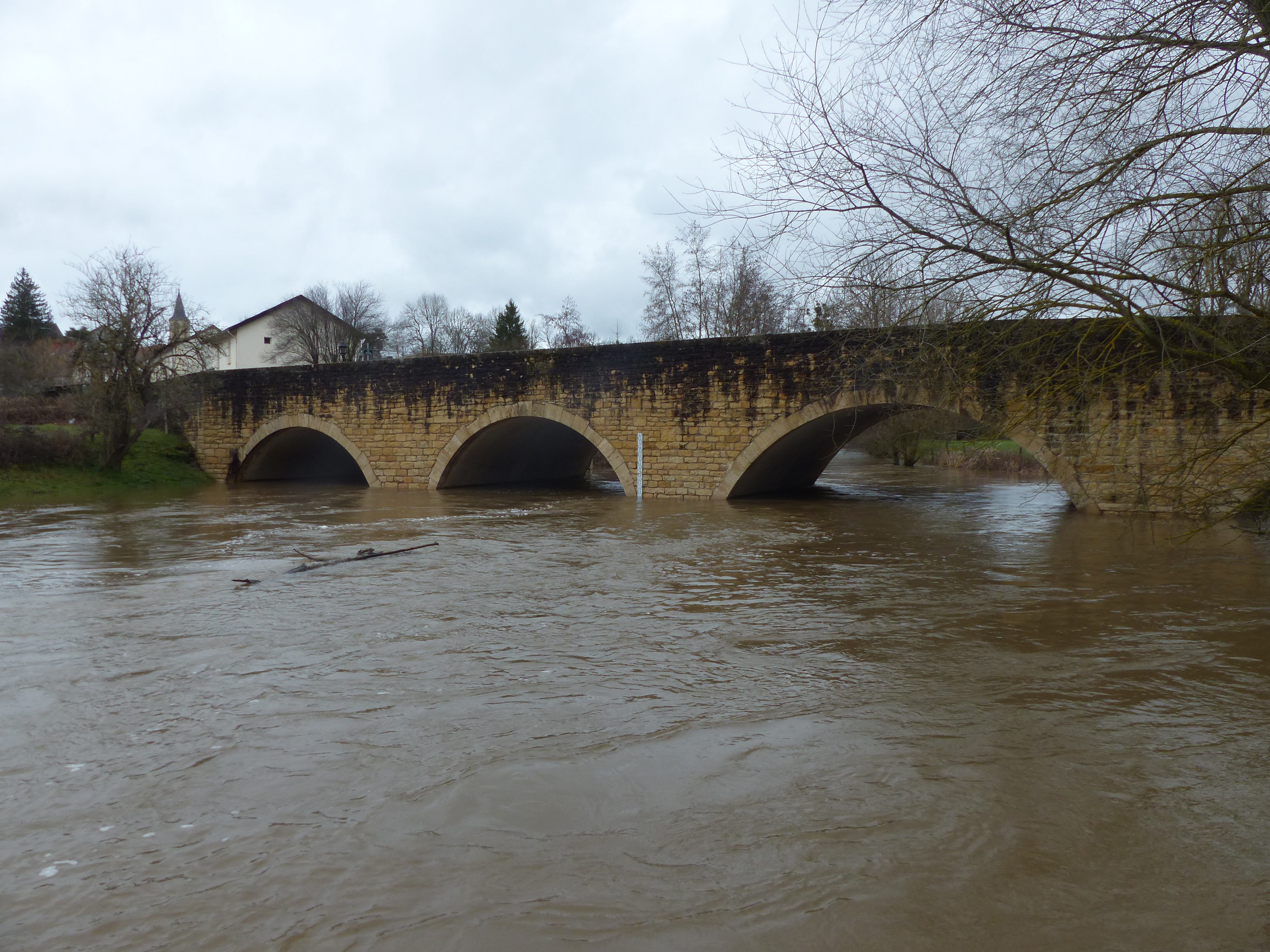 Le Sornin à St Maurice les Châteauneuf - février 2026
