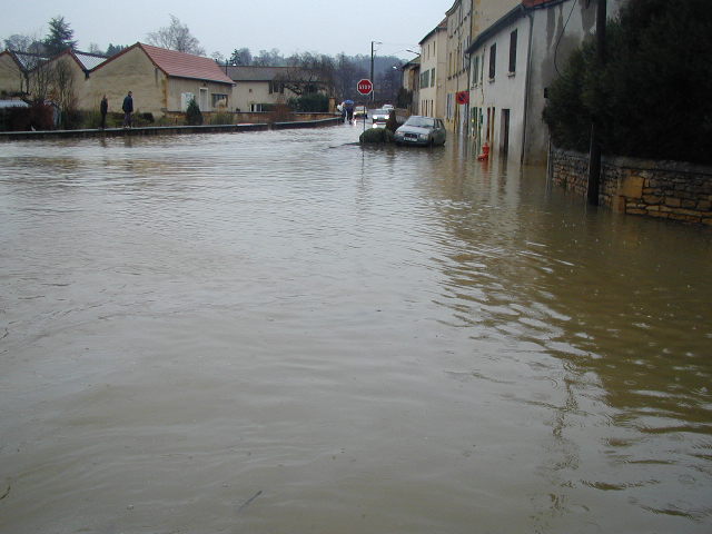 ruedelagare.jpg