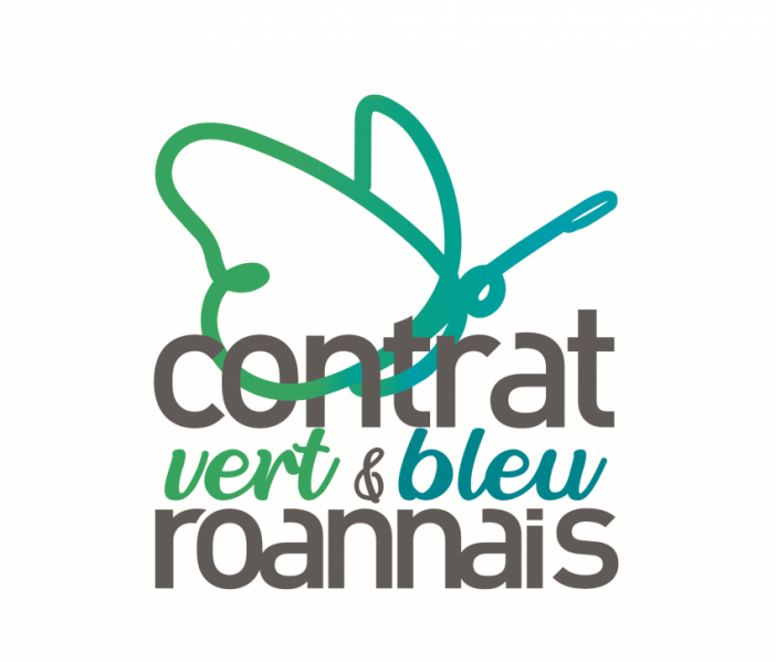 logo vert et bleu.png