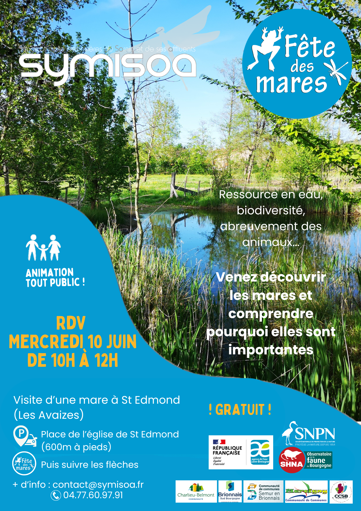 flyer mare-P1.png