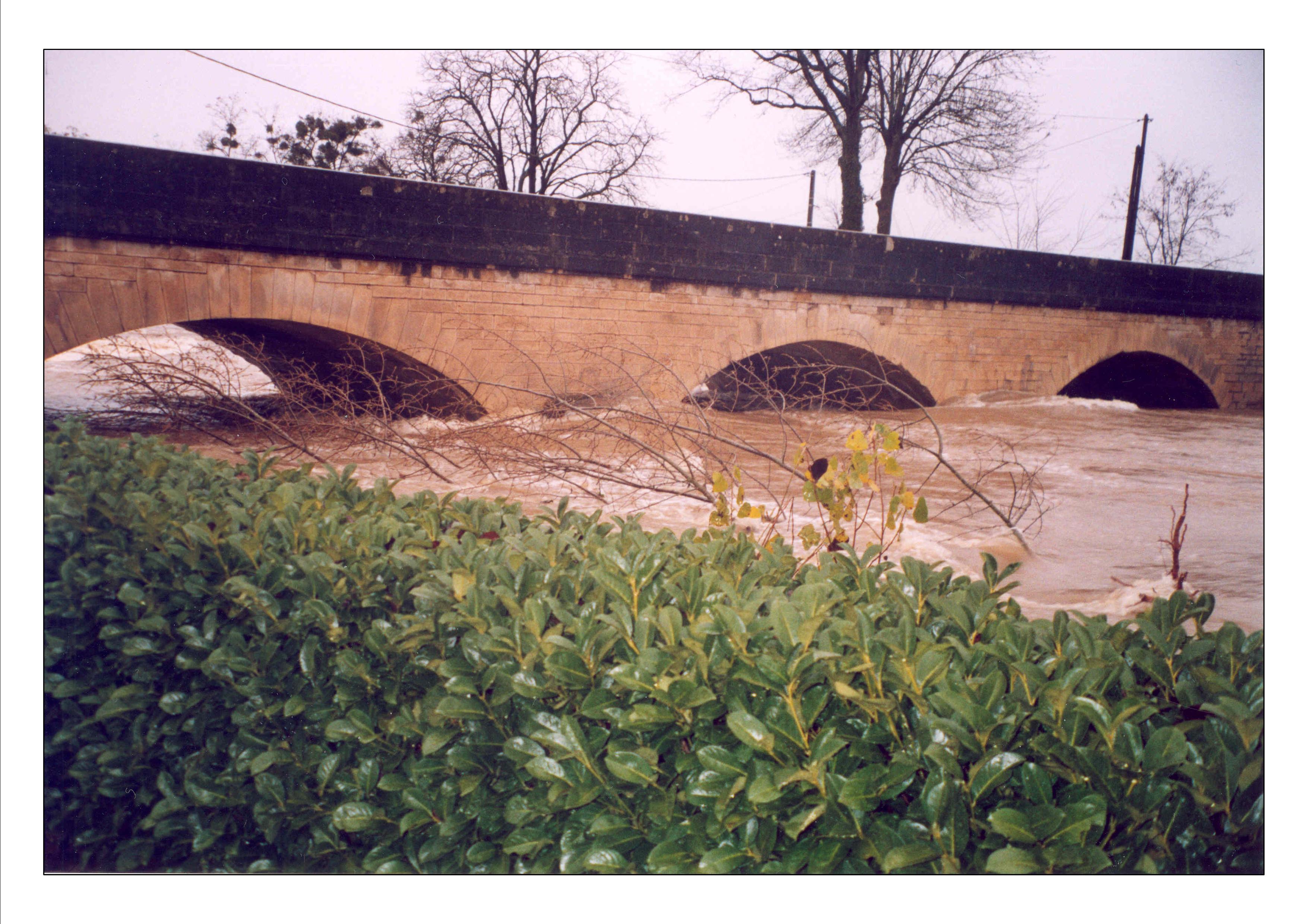 Pouilly 2003 1.jpg