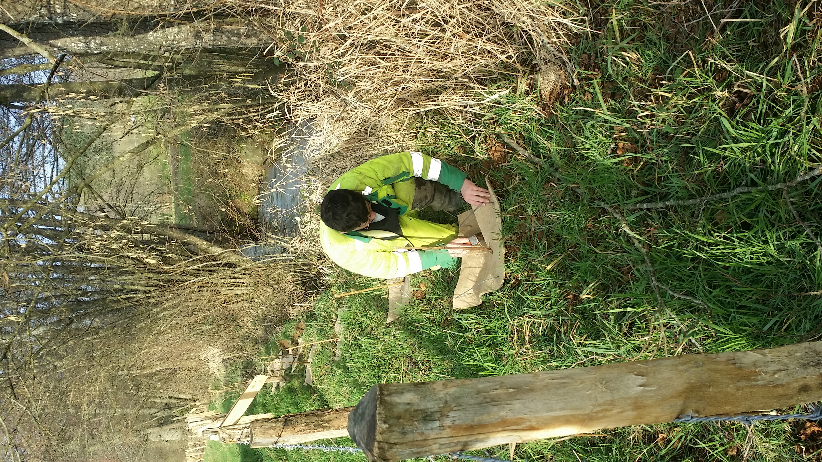 Pontbrenon-Plantations-Janv2018