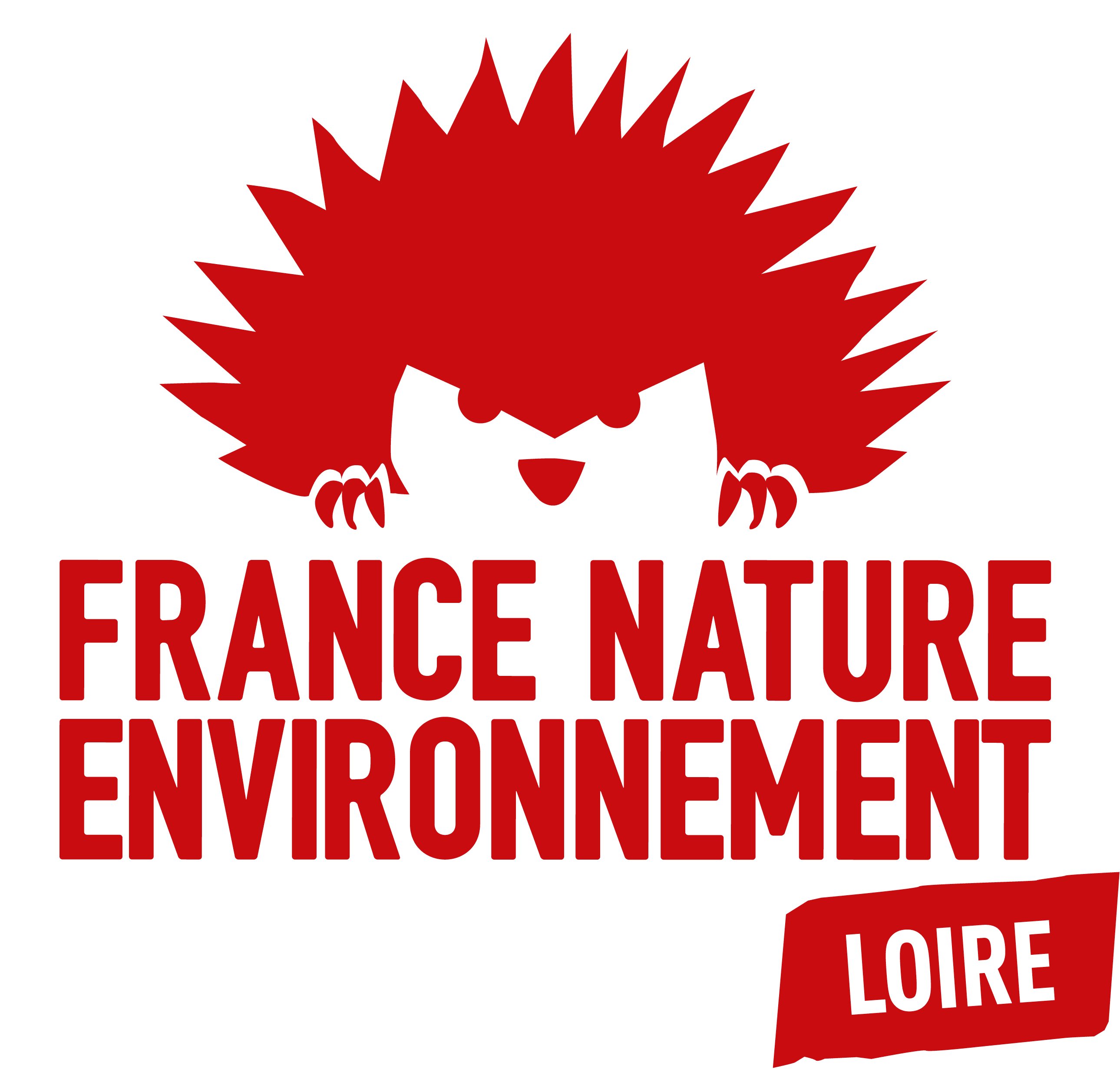 FNE_Loire_Logo_Principal_Rouge_1_.png