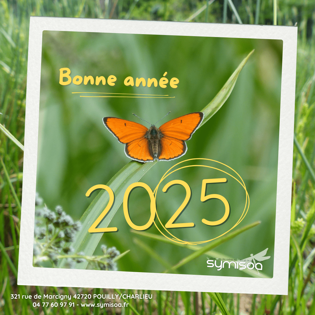 Voeux 2025.png