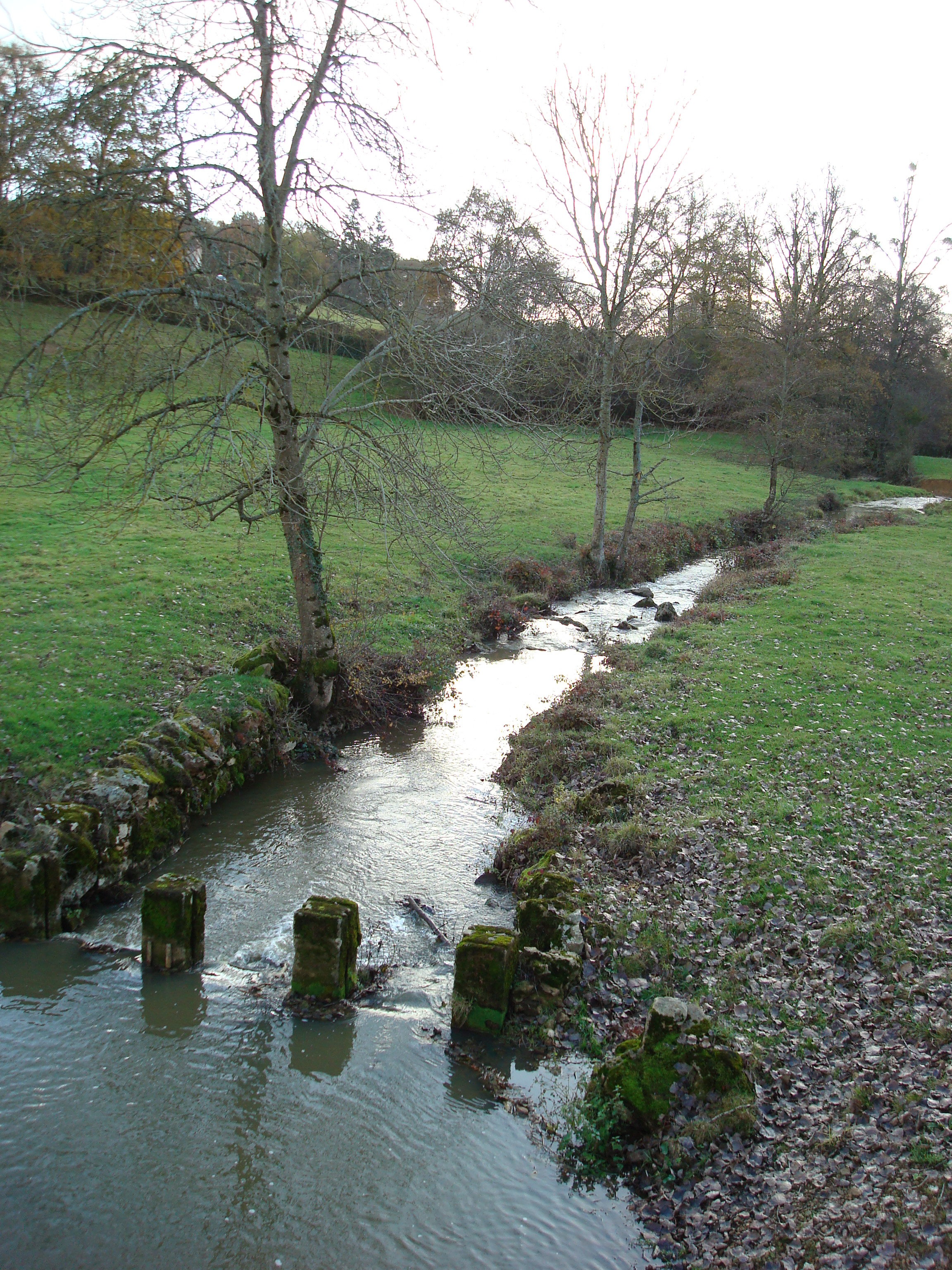 PontLigny-EtatInitial2009