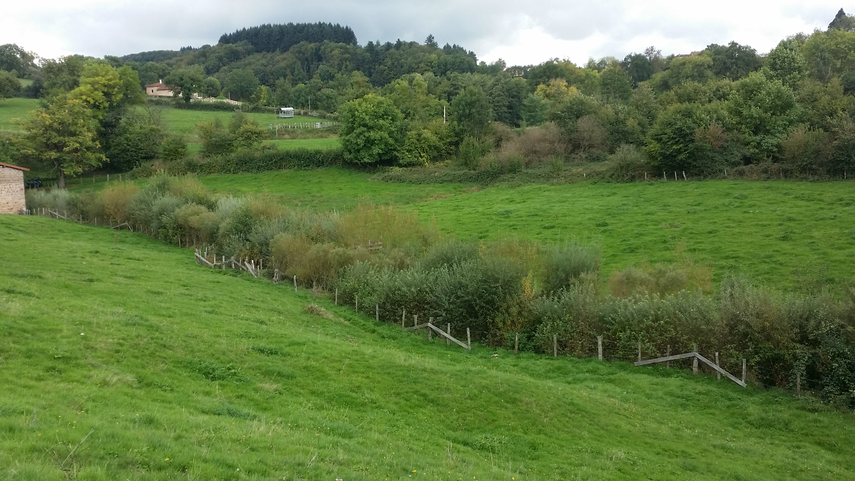 EvolChandonnetMedian-Oct2017