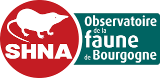 logo shna.png