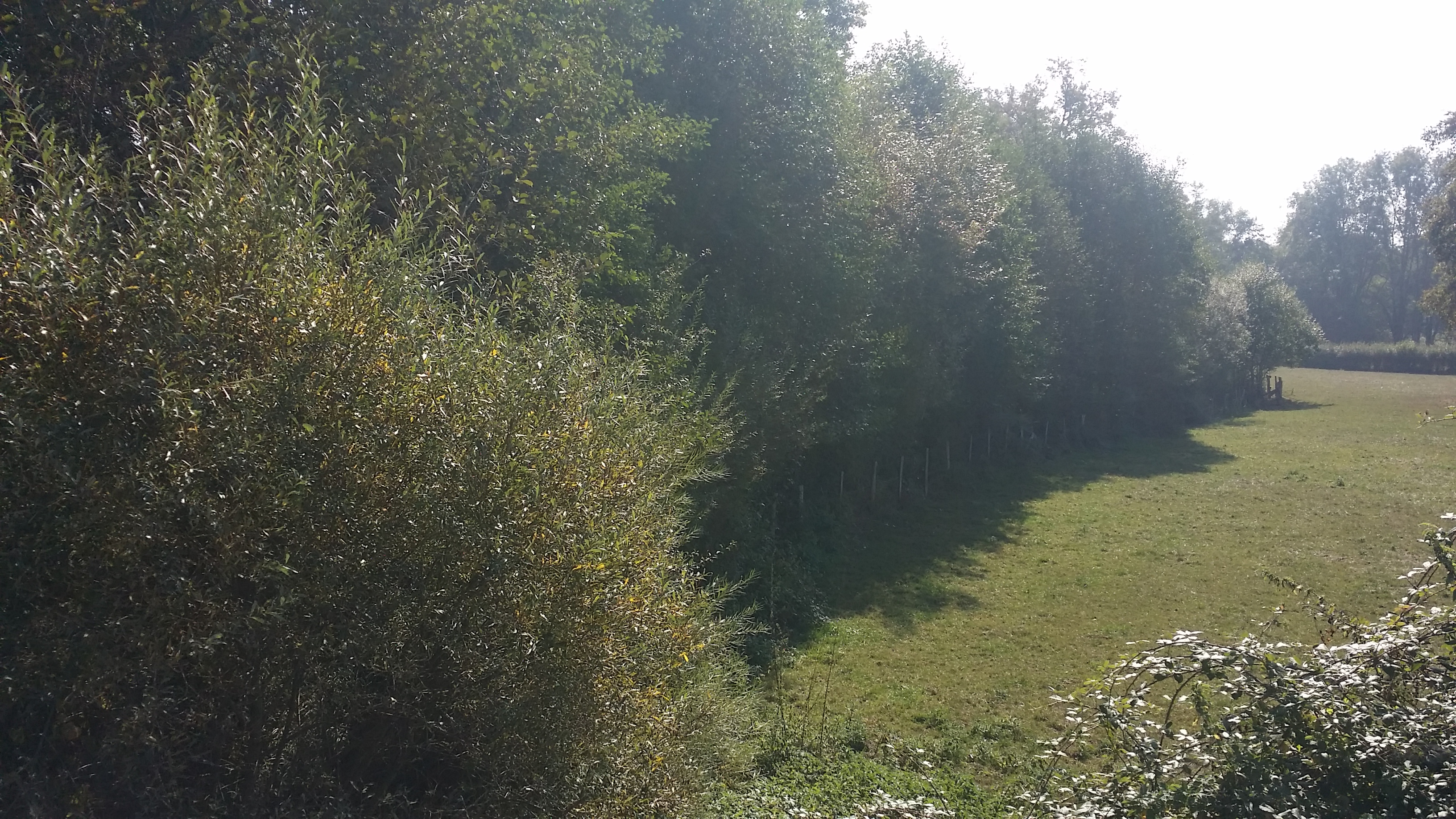 VueDepuisPontLigny-Oct2018