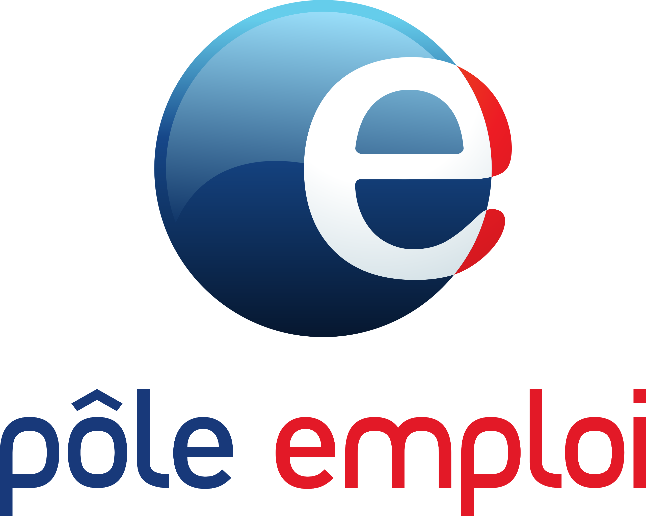 logo pole emploi.png