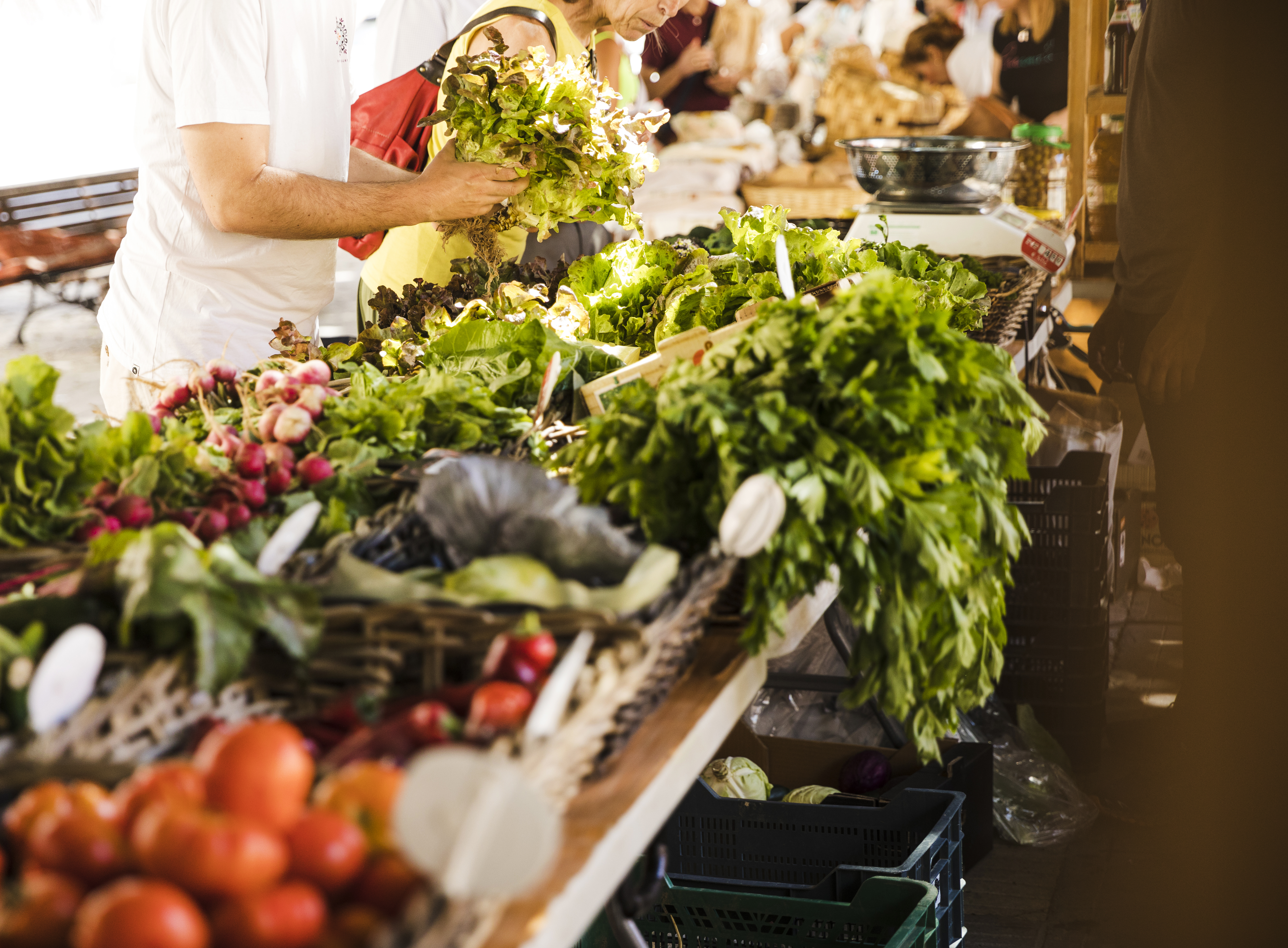 people-buying-vegetable-from-local-vegetable-market.jpg
