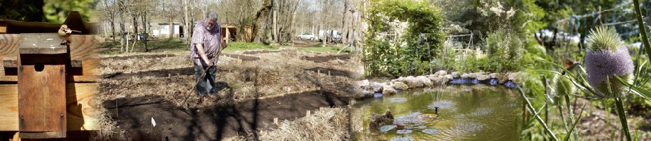 jardin d_oreda.jpg